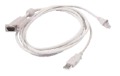 Raritan MCCAT KVM auf UTP Kabel 0,6m - VGA/USB auf RJ45